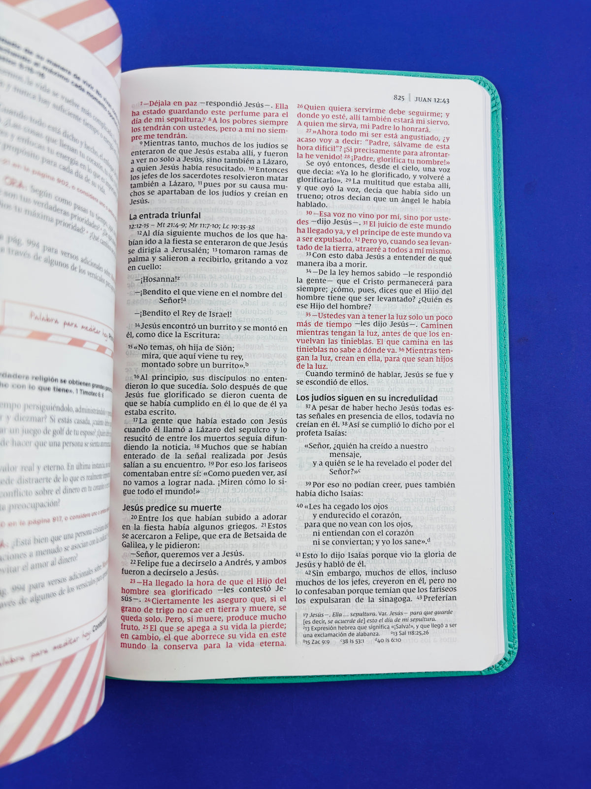 Biblia de la mamá ocupada azul by Nueva Versión Internacional