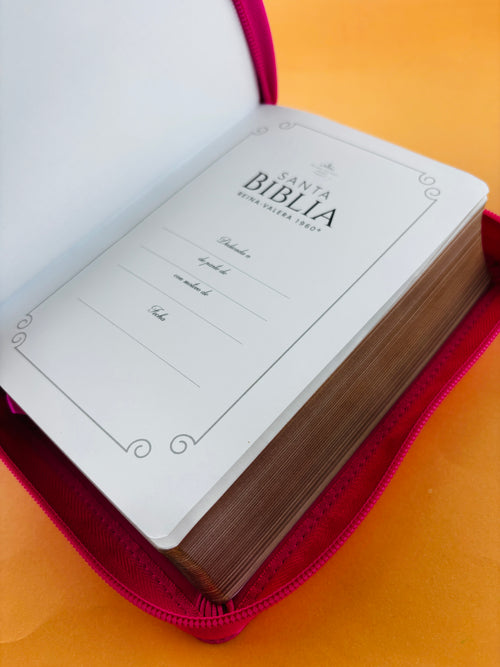 Biblia rvr 1960 fucsia letra grande con cierre - canto dorado by Reina Valera 1960