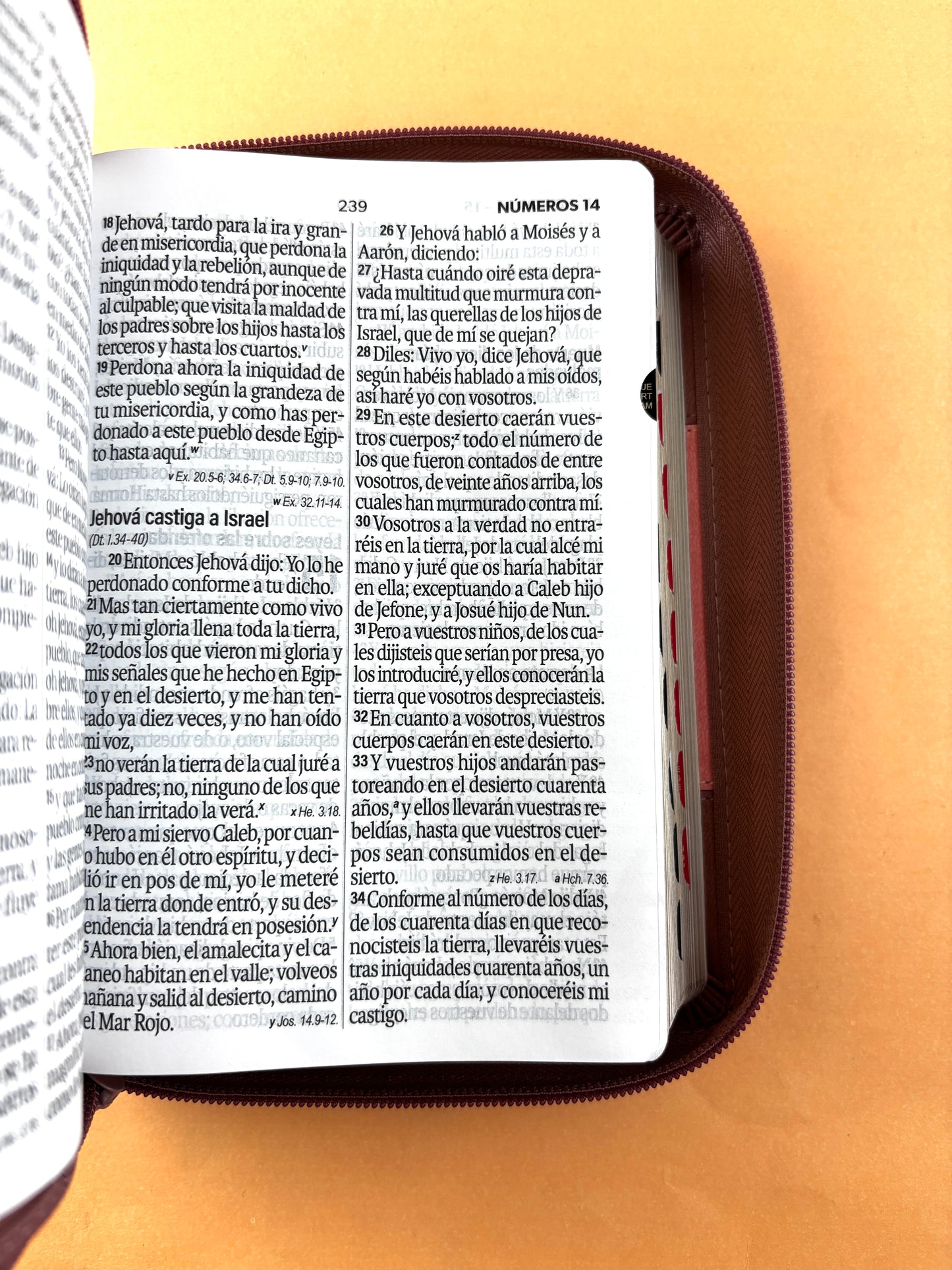 Biblia rvr 1960 bitono rosa - palo de rosa letra grande con cierre e índice