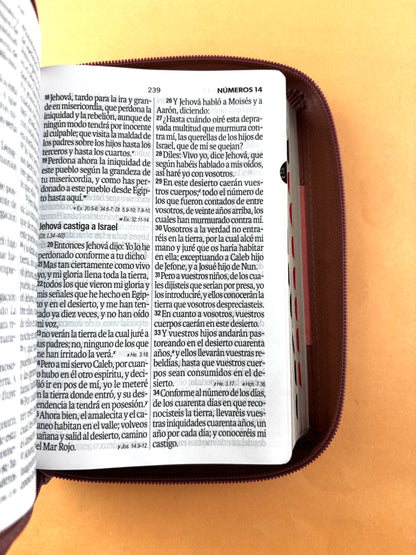 Biblia rvr 1960 bitono rosa - palo de rosa letra grande con cierre e índice