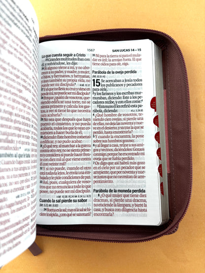 Biblia rvr 1960 bitono rosa - palo de rosa letra grande con cierre e índice