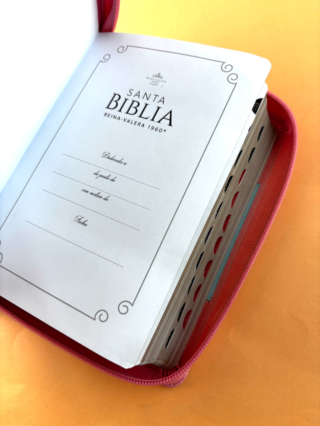 Biblia rvr 1960 bitono celeste- palo de rosa letra grande con cierre e índice by Reina Valera 1960