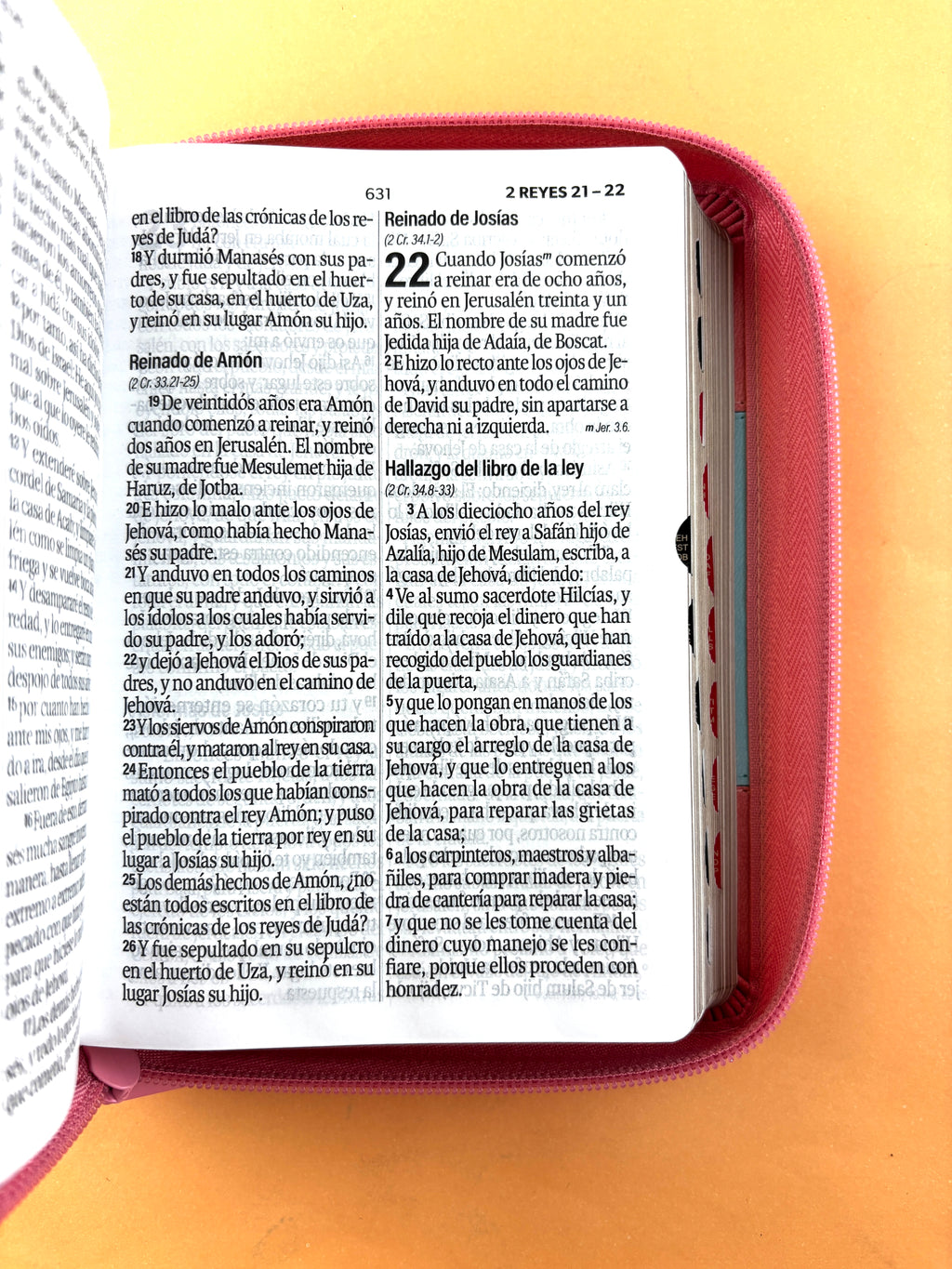 Biblia rvr 1960 bitono celeste- palo de rosa letra grande con cierre e índice by Reina Valera 1960
