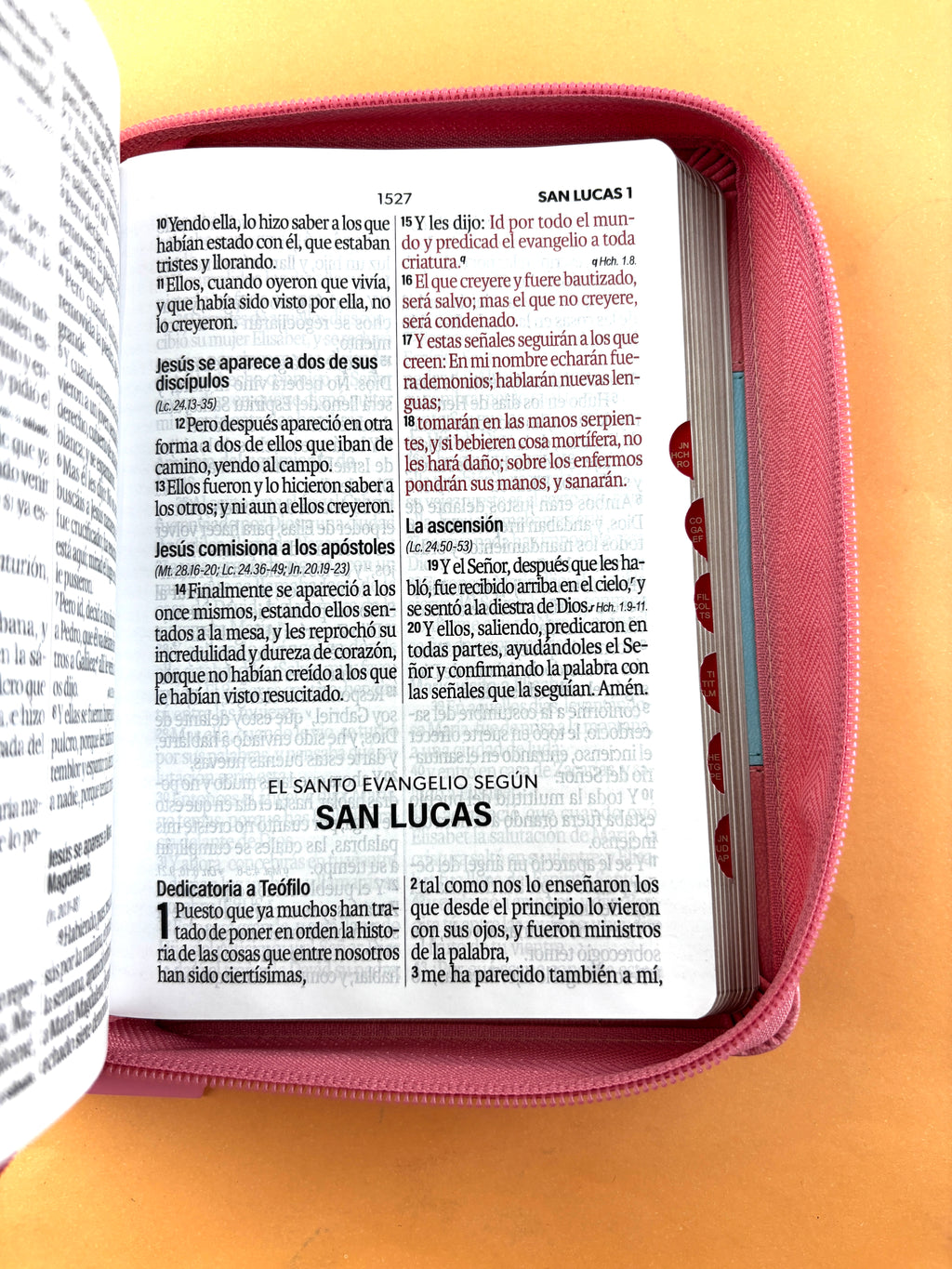 Biblia rvr 1960 bitono celeste- palo de rosa letra grande con cierre e índice by Reina Valera 1960