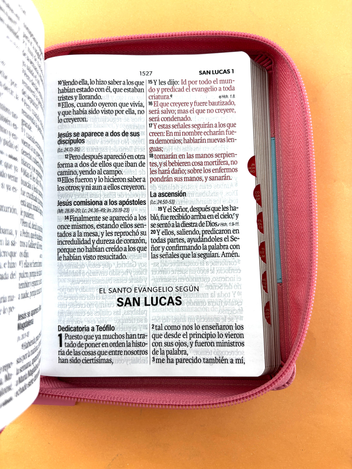 Biblia rvr 1960 bitono celeste- palo de rosa letra grande con cierre e índice by Reina Valera 1960