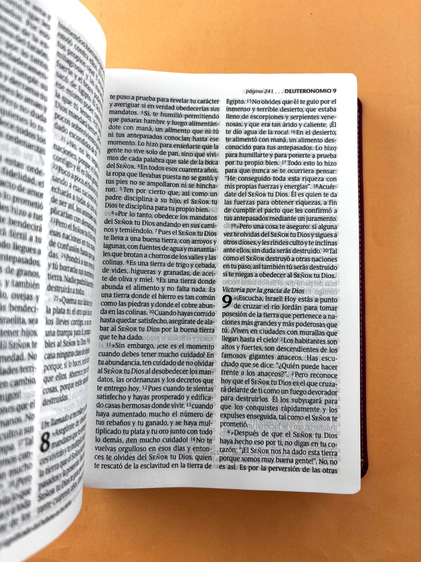 Biblia ntv letra grande edición personal morado - flores