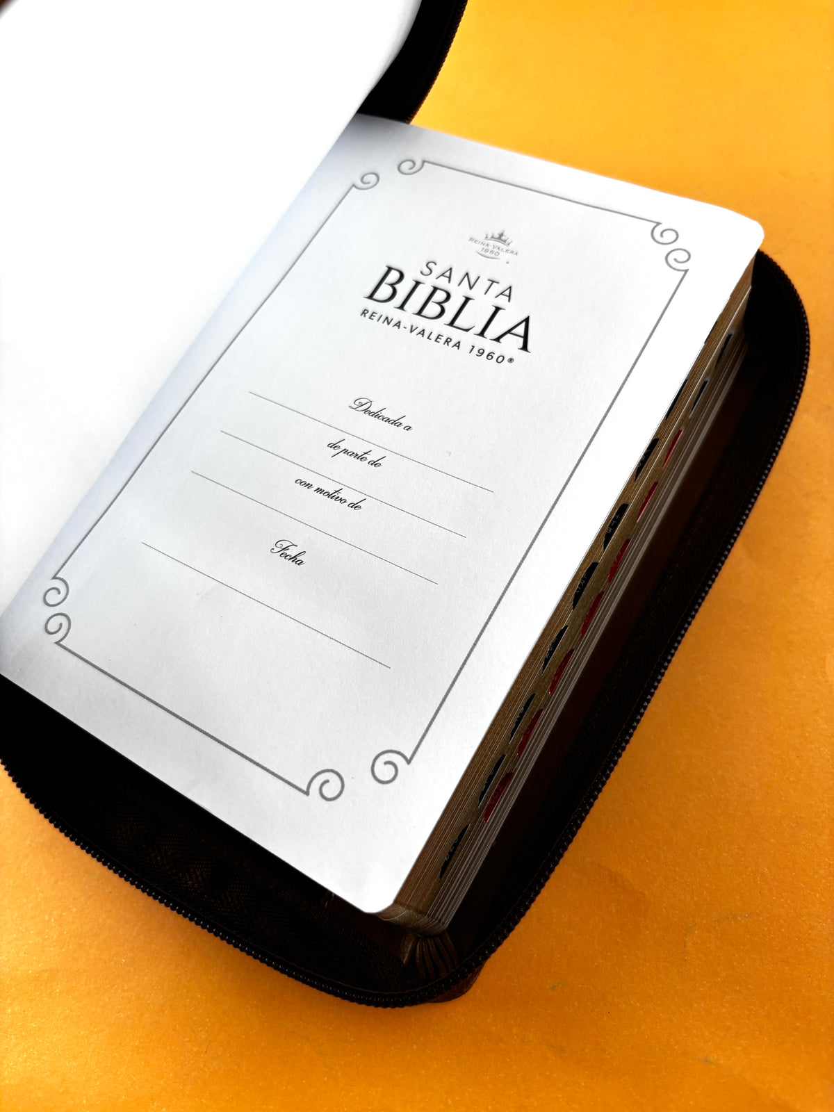 Biblia rvr 1960 tricolor café letra grande con cierre e índice by Reina Valera 1960