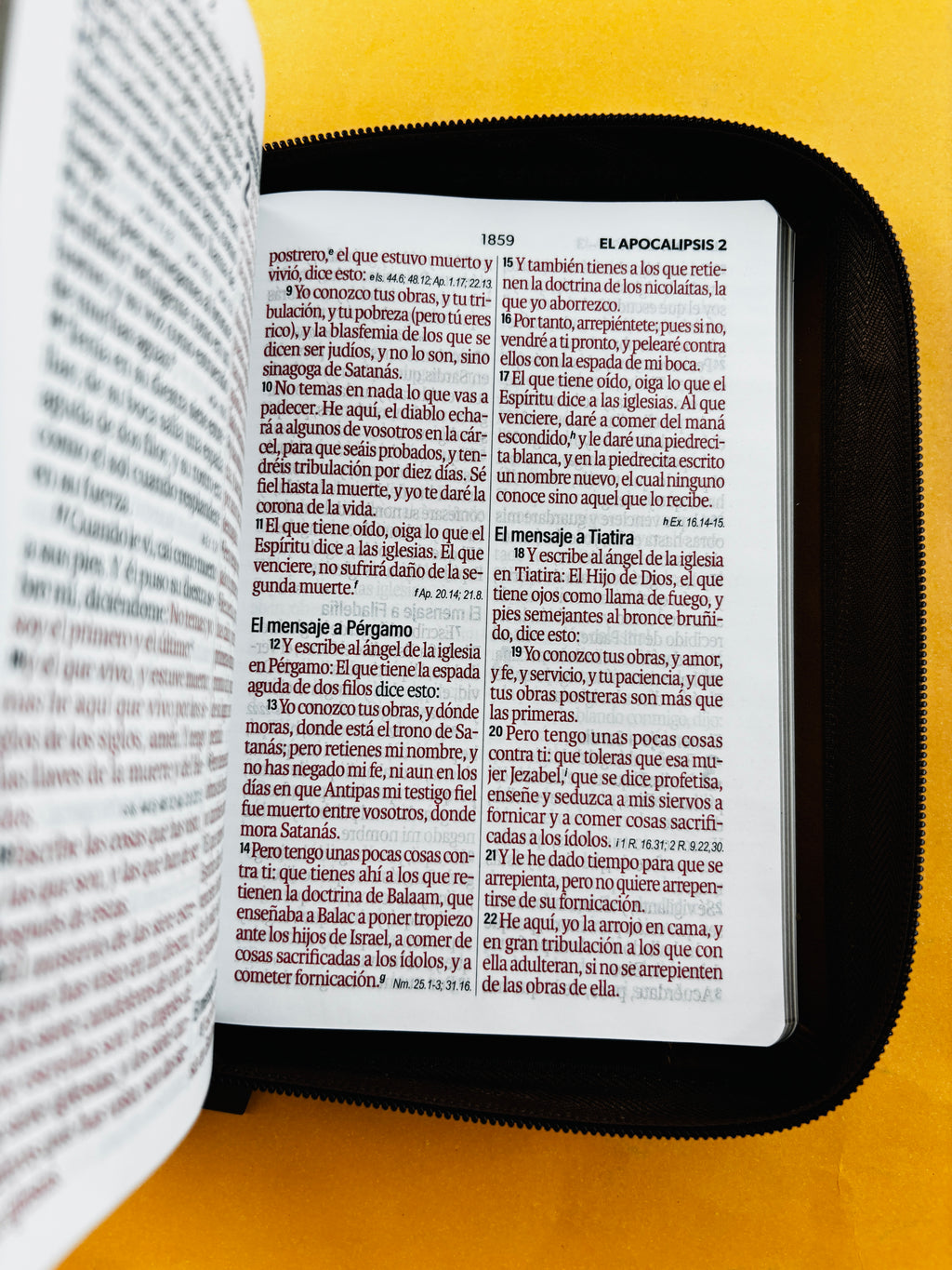 Biblia rvr 1960 tricolor café letra grande con cierre e índice by Reina Valera 1960