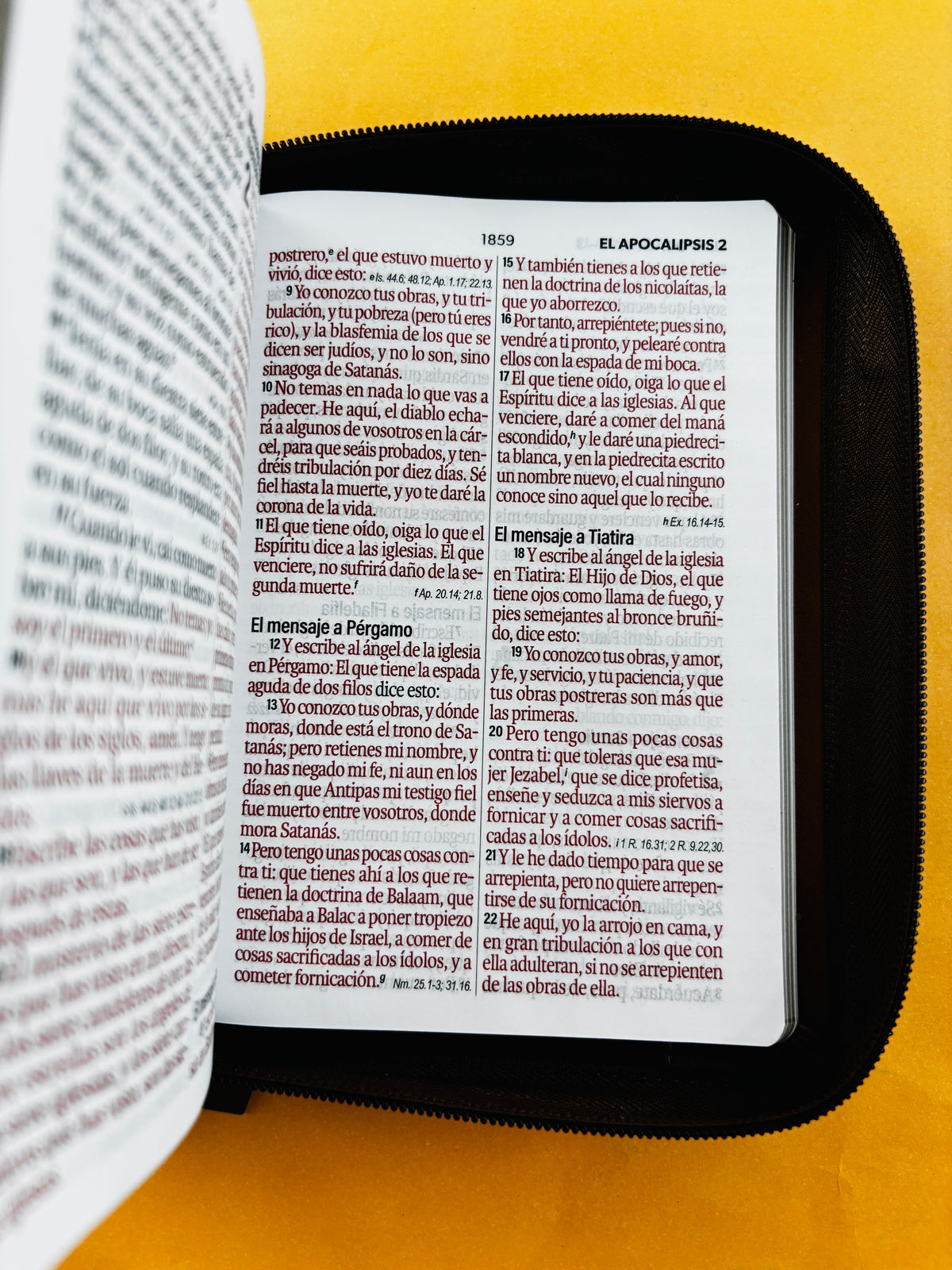 Biblia rvr 1960 tricolor café letra grande con cierre e índice by Reina Valera 1960
