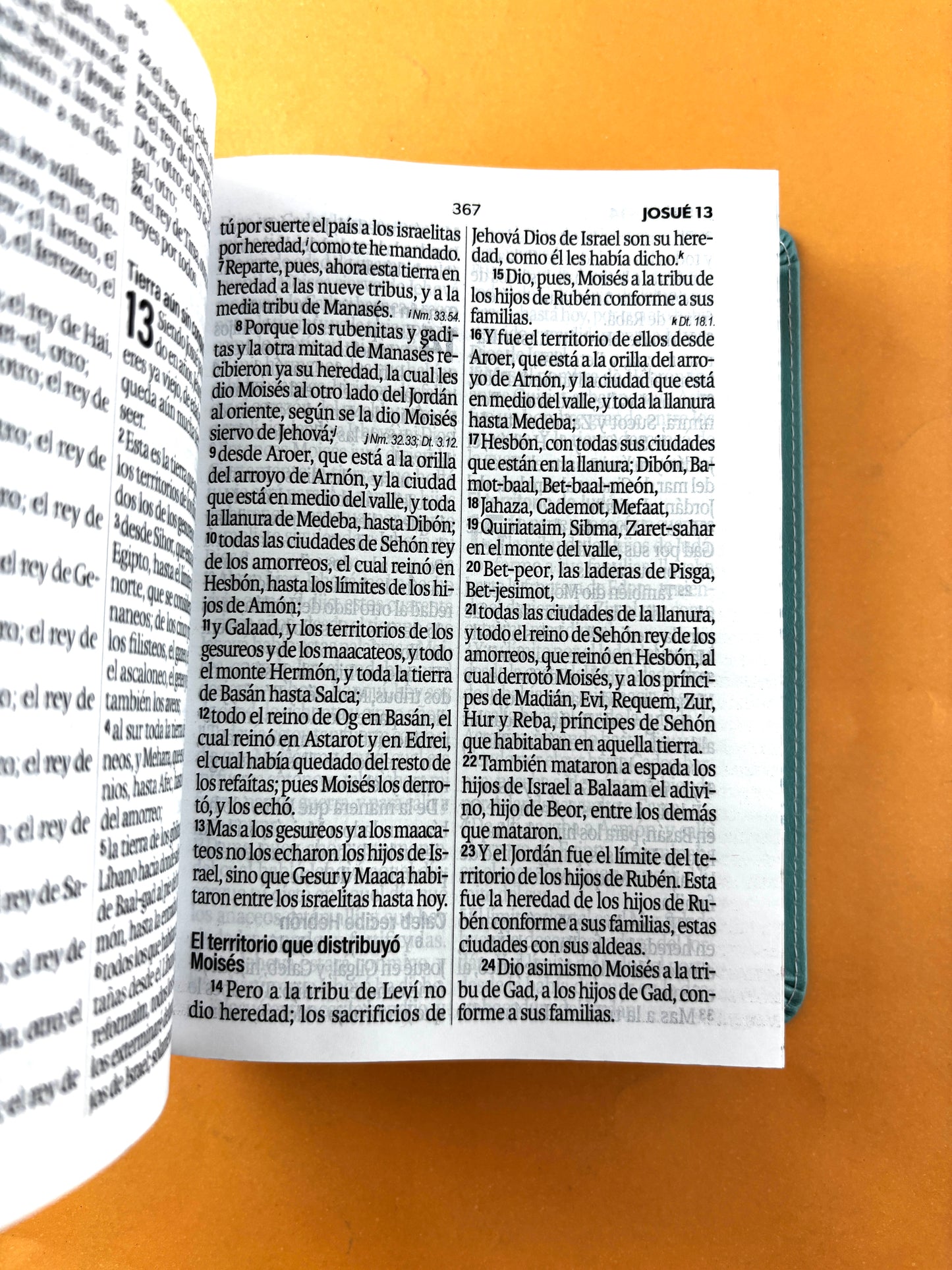Biblia rvr 1960 letra grande azul aguamarina- flores - canto decorado sin cierre