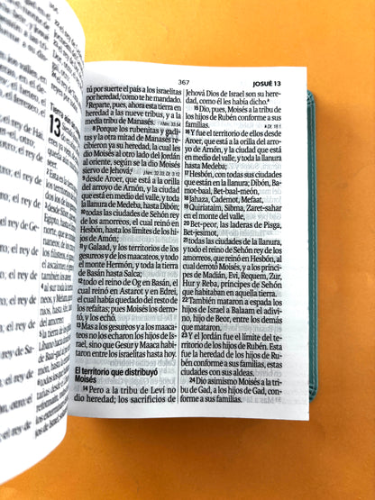 Biblia rvr 1960 letra grande azul aguamarina- flores - canto decorado sin cierre