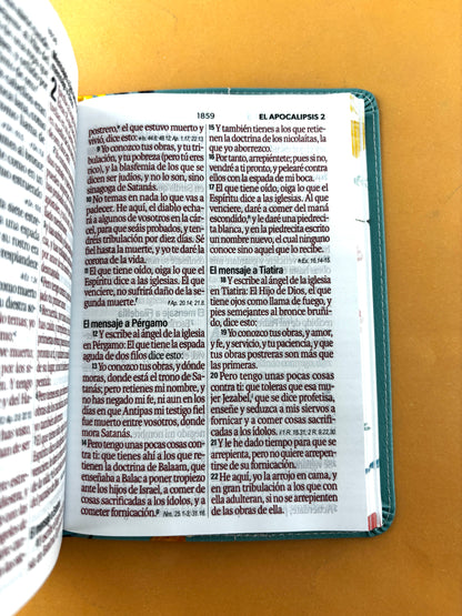 Biblia rvr 1960 letra grande azul aguamarina- flores - canto decorado sin cierre