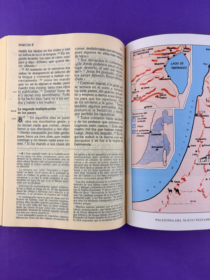 Biblia Latinoamérica grande vinotinto Tapa Dura by Latinoamérica