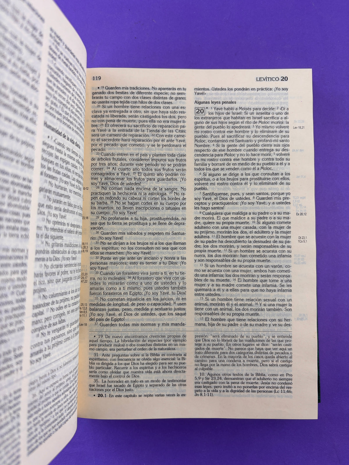 Biblia Latinoamérica grande verde Tapa Dura by Latinoamérica