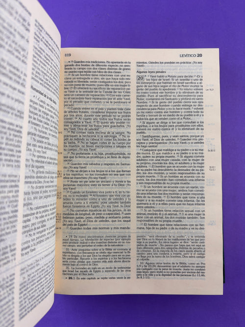 Biblia Latinoamérica grande verde Tapa Dura by Latinoamérica