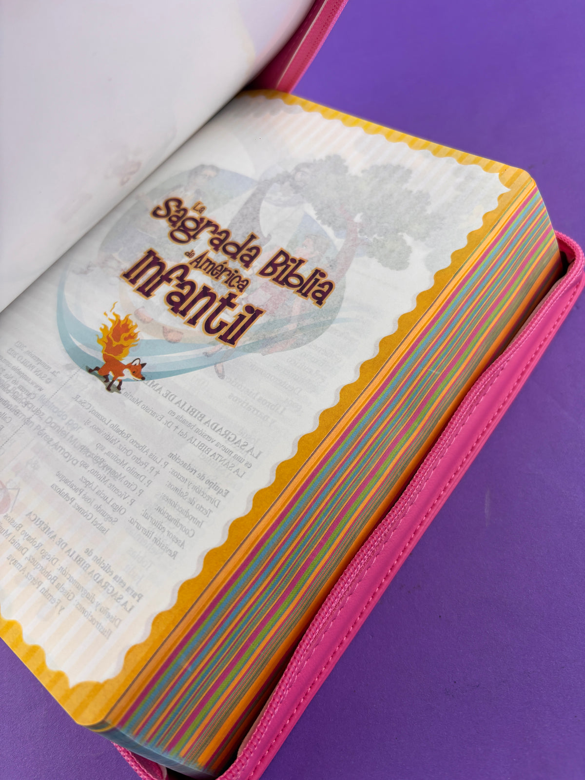 Sagrada biblia de américa infantil estuche fucsia by Biblia de América