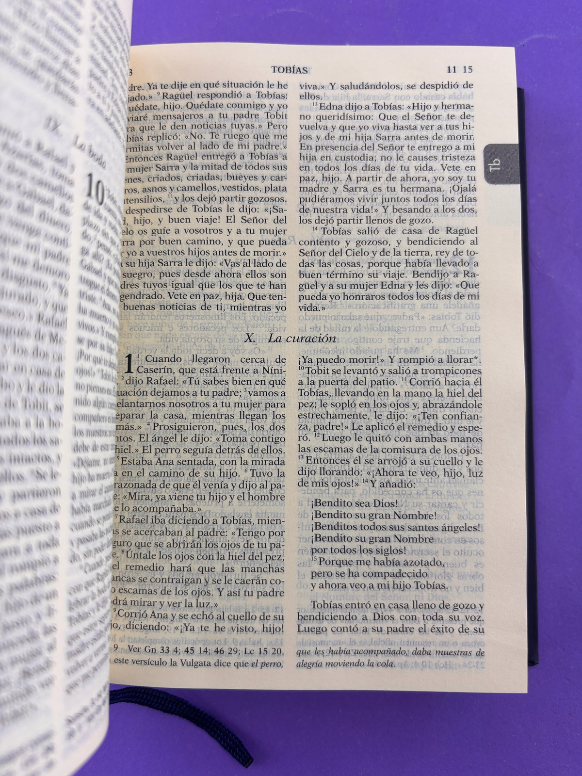 Biblia de Jerusalén Nueva (edición bolsillo) by Jerusalén