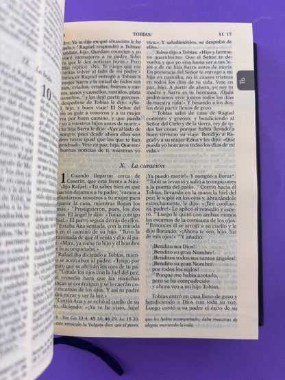 Biblia de Jerusalén Nueva (edición bolsillo) by Jerusalén