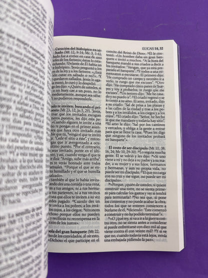 La sagrada biblia de américa azul by Biblia de América