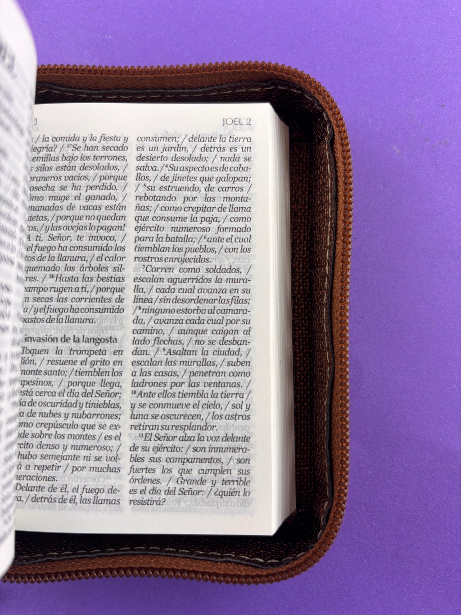 Biblia mini de nuestro pueblo café/colores by Nuestro pueblo