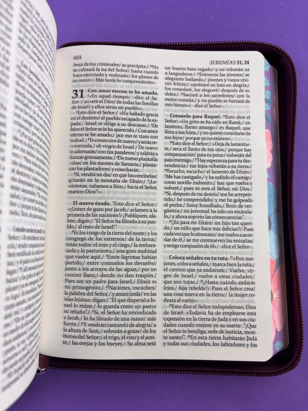 Sagrada biblia de américa colección estuche morada/flores by Biblia de América