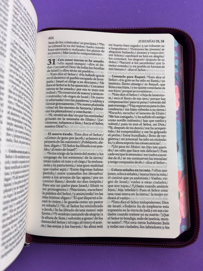 Sagrada biblia de américa colección estuche morada/flores by Biblia de América