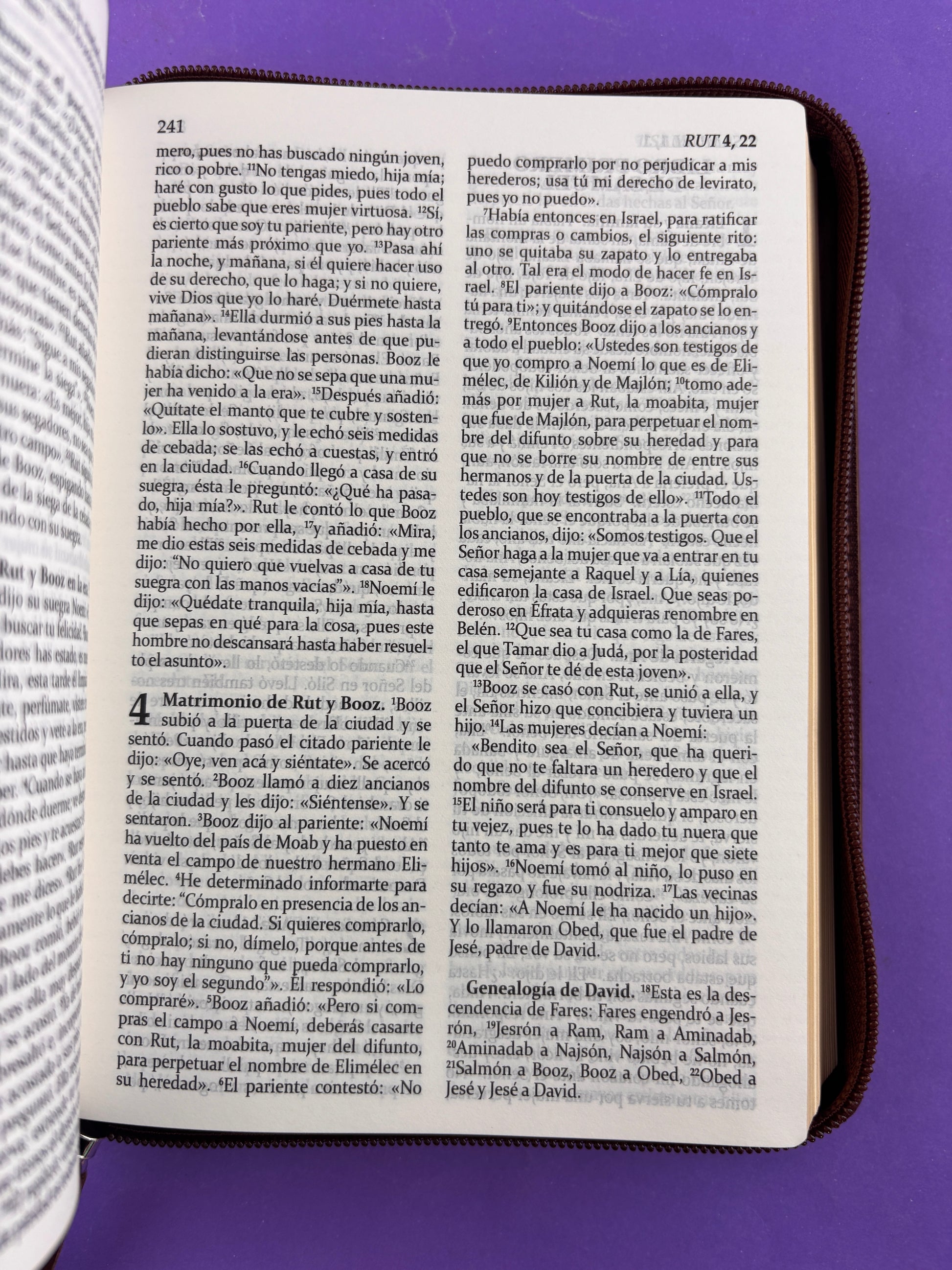 Sagrada biblia de américa colección estuche café by Biblia de América