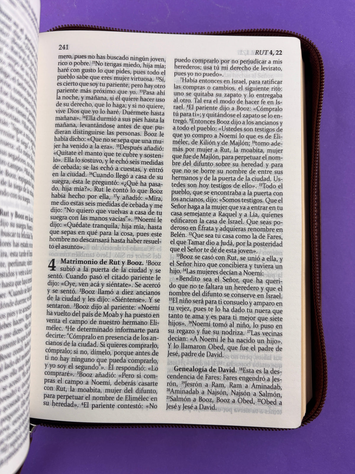 Sagrada biblia de américa colección estuche café by Biblia de América