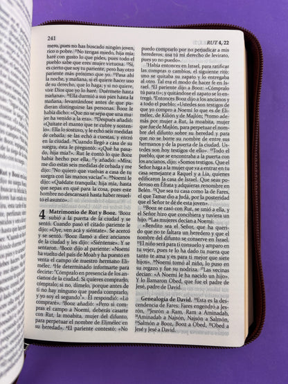 Sagrada biblia de américa colección estuche café by Biblia de América