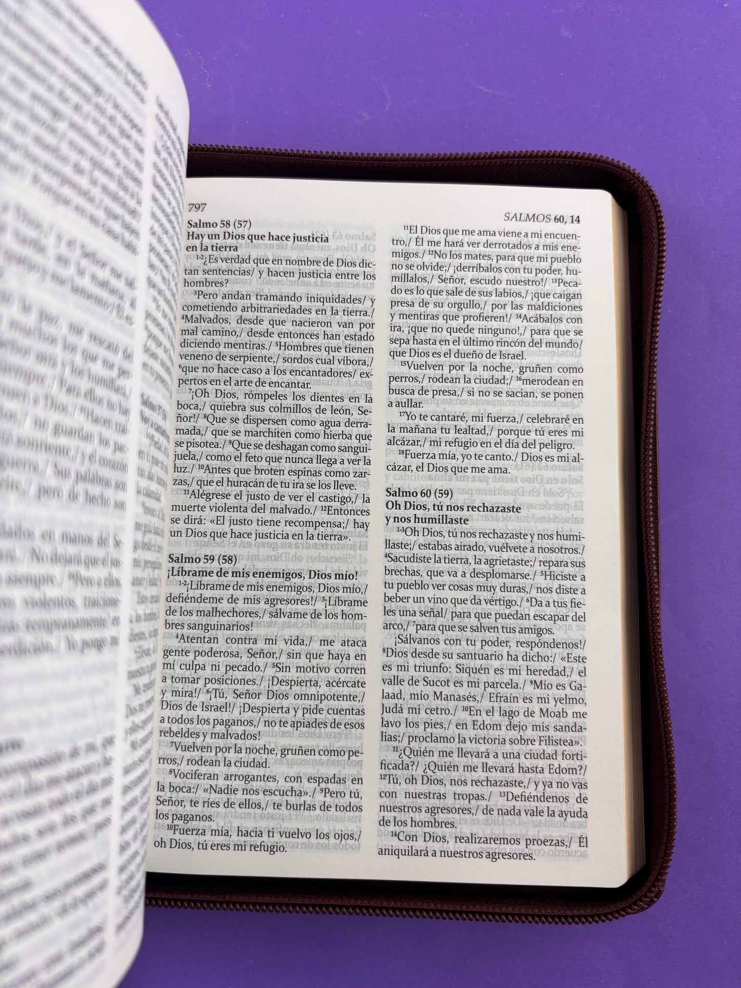 Sagrada biblia de américa colección estuche café by Biblia de América