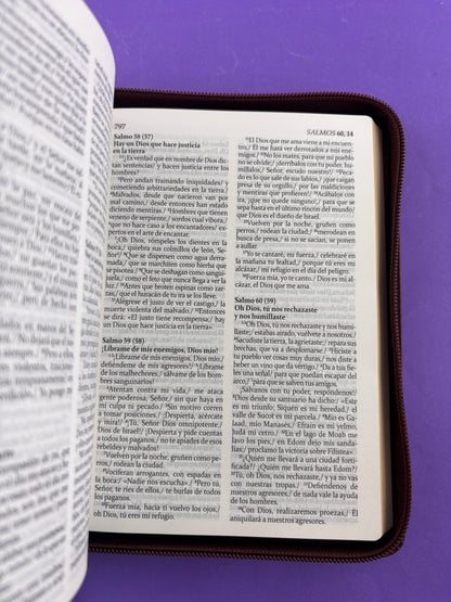 Sagrada biblia de américa colección estuche café by Biblia de América