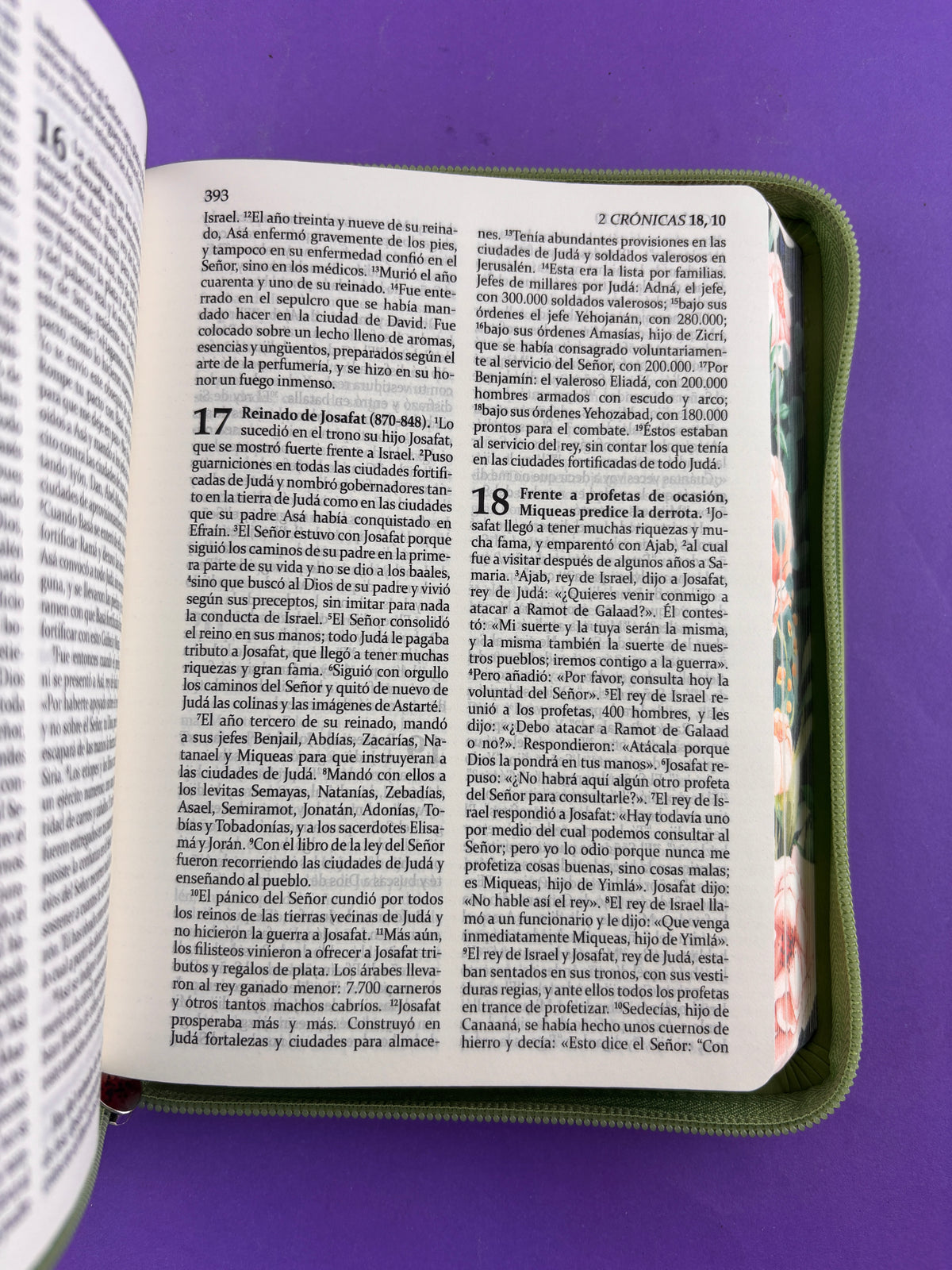 Sagrada biblia de américa colección estuche verde claro/flores by Biblia de América