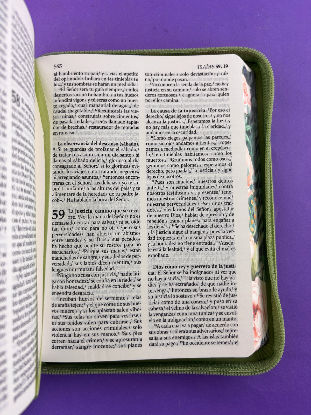Sagrada biblia de américa colección estuche verde claro/flores by Biblia de América