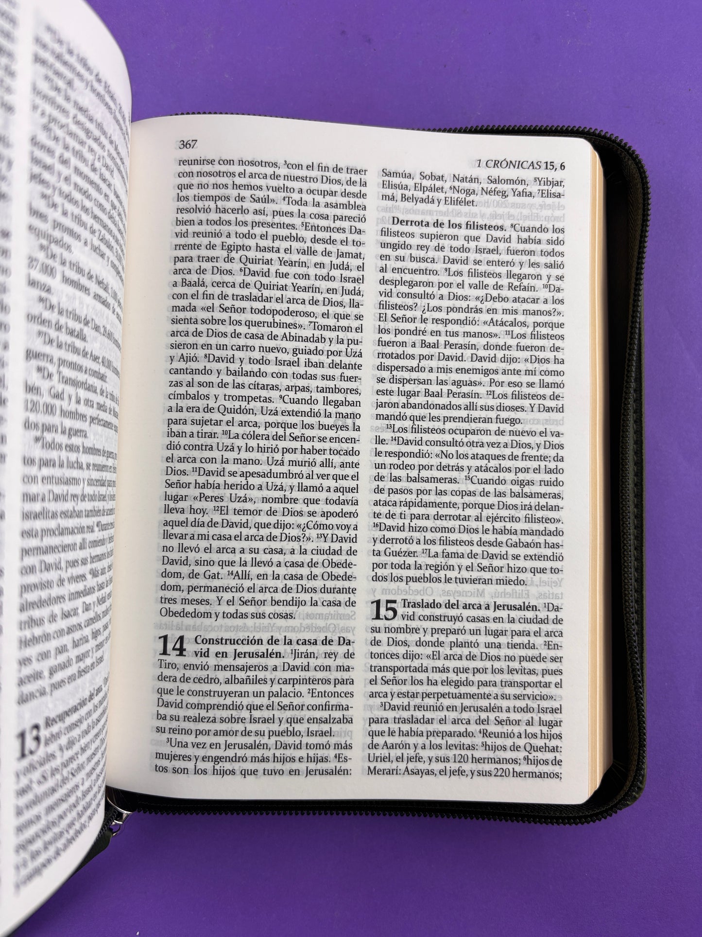 Sagrada biblia de américa colección estuche verde olivo by Biblia de América