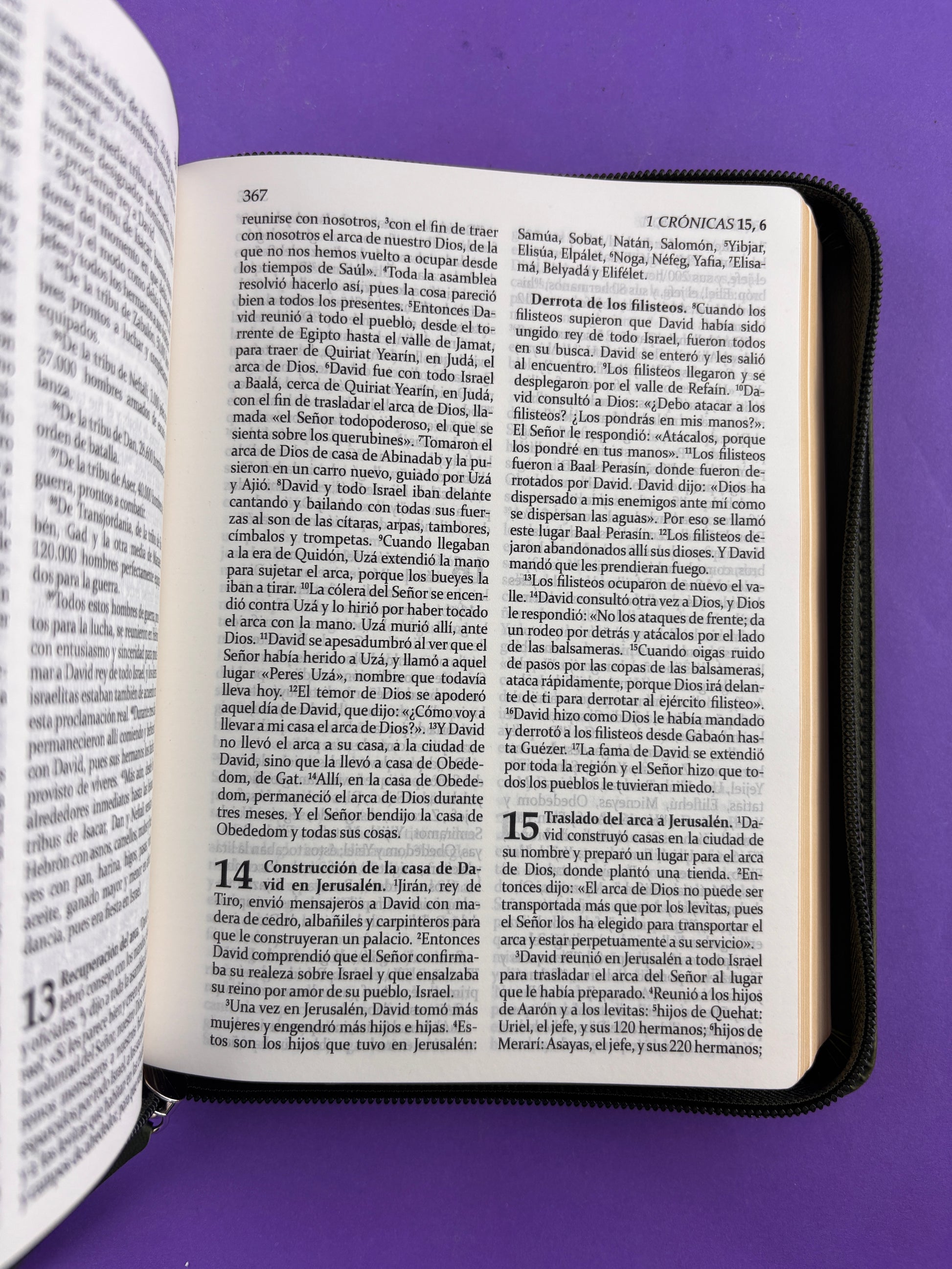 Sagrada biblia de américa colección estuche verde olivo by Biblia de América