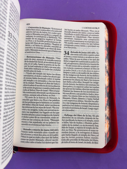 Sagrada biblia de américa colección estuche roja/flores by Biblia de América