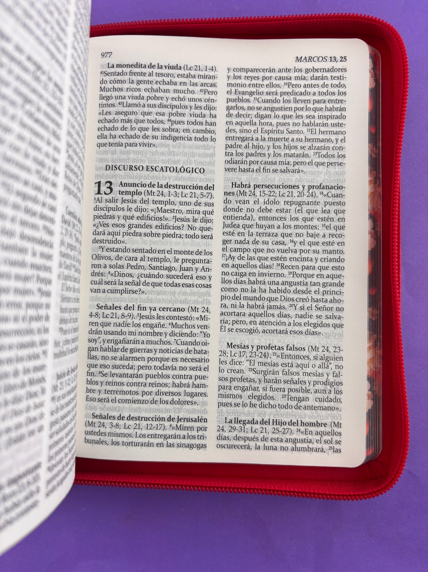Sagrada biblia de américa colección estuche roja/flores by Biblia de América