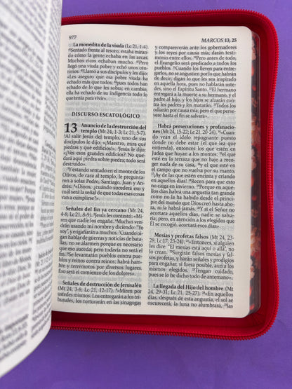 Sagrada biblia de américa colección estuche roja/flores by Biblia de América