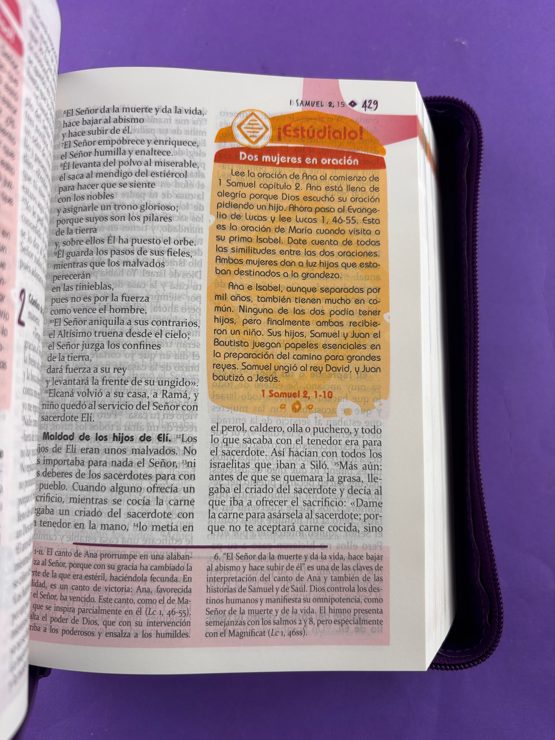 Biblia didáctica para jóvenes morada con cierre by Abriendo caminos