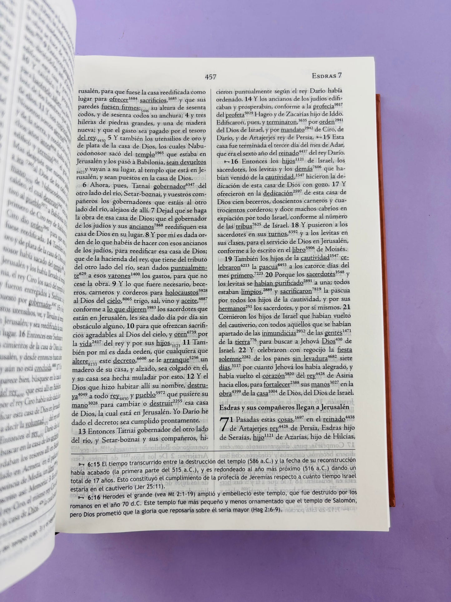 Biblia de estudio palabra clave con diccionario hebreo y griego
