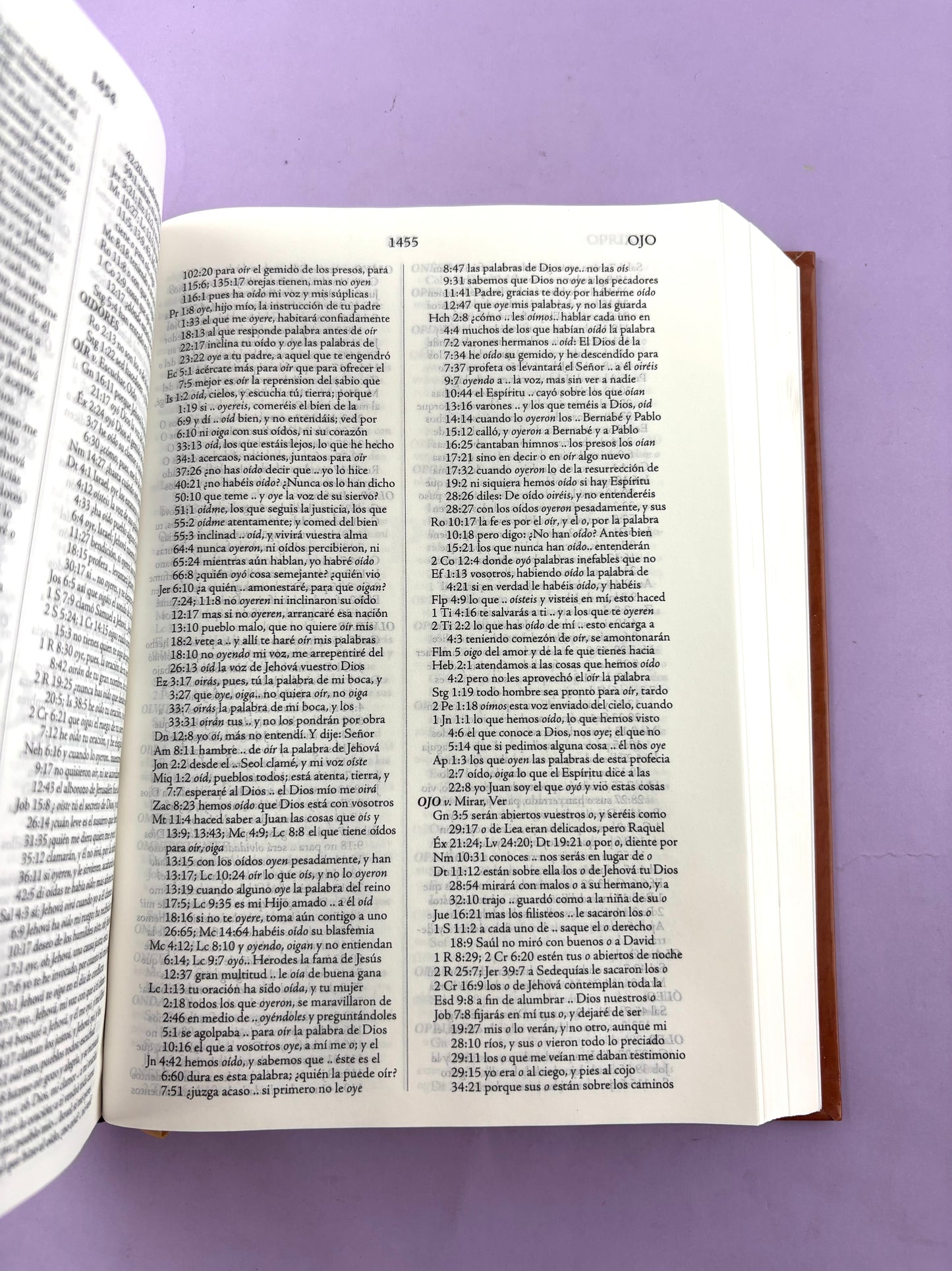 Biblia de estudio palabra clave con diccionario hebreo y griego