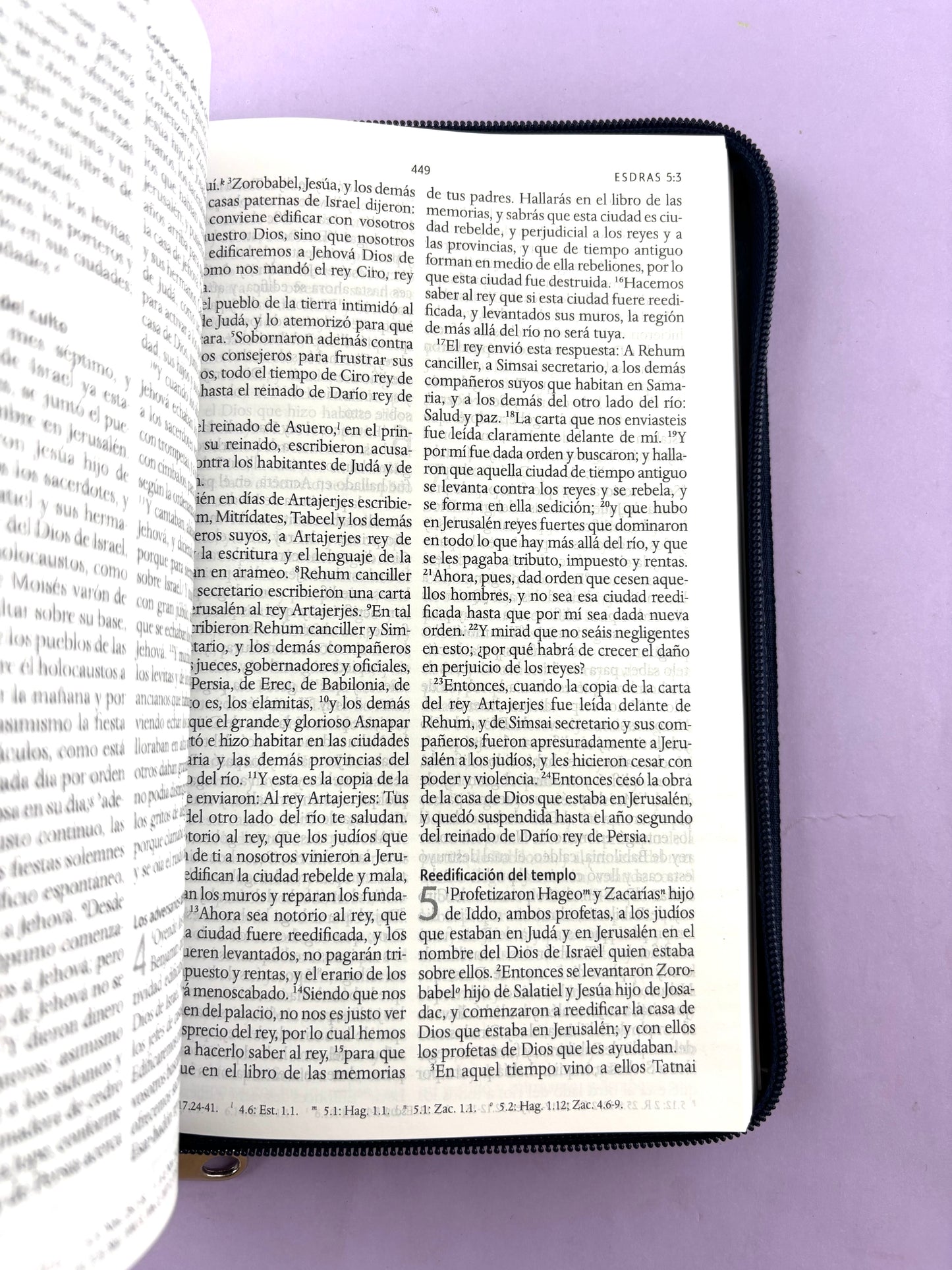 Biblia rvr 1960 letra grande estuche azul-vinotinto by Reina Valera 1960