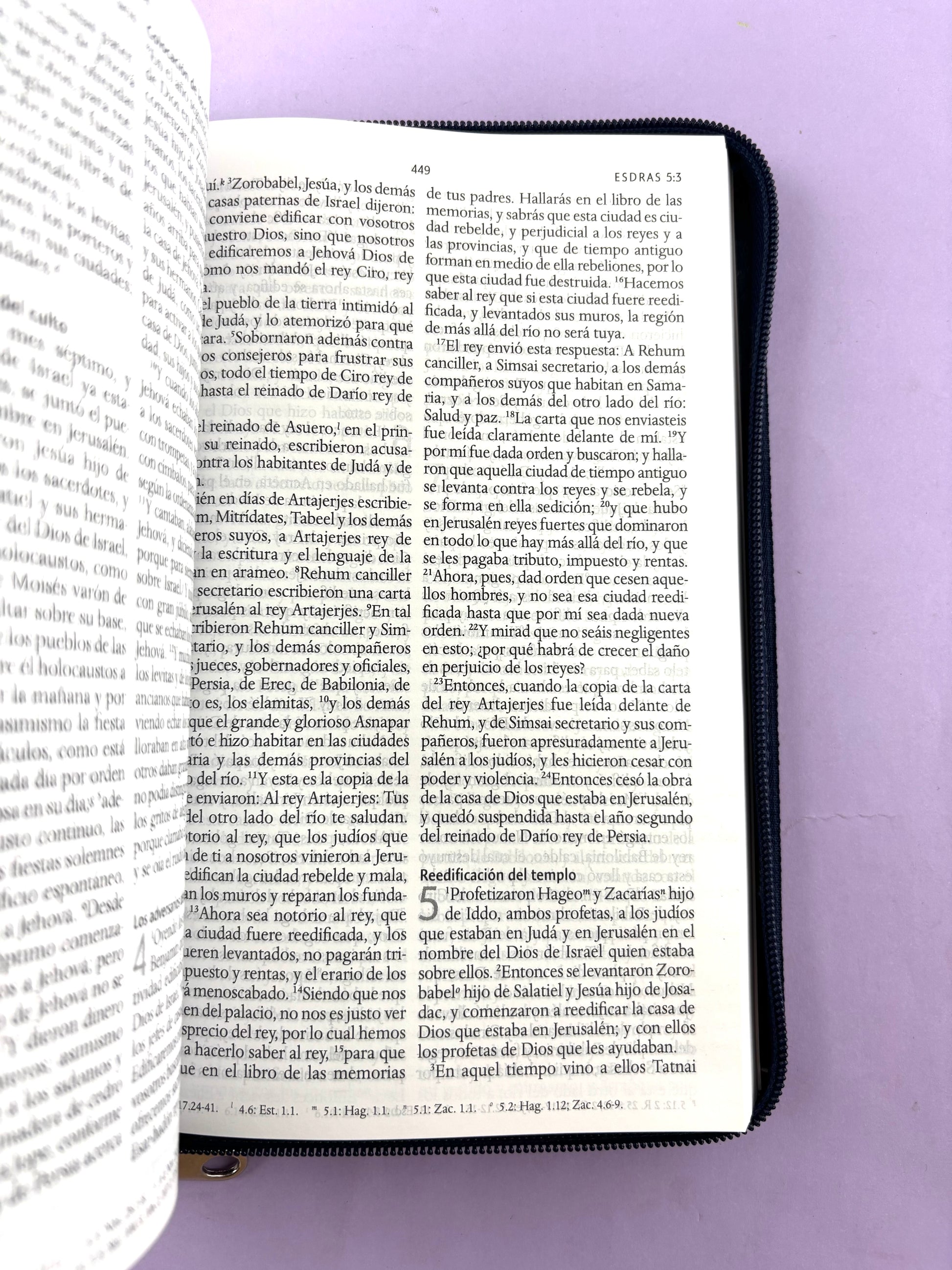 Biblia rvr 1960 letra grande estuche azul-vinotinto by Reina Valera 1960