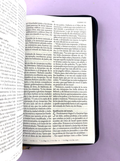 Biblia rvr 1960 letra grande estuche azul-vinotinto by Reina Valera 1960