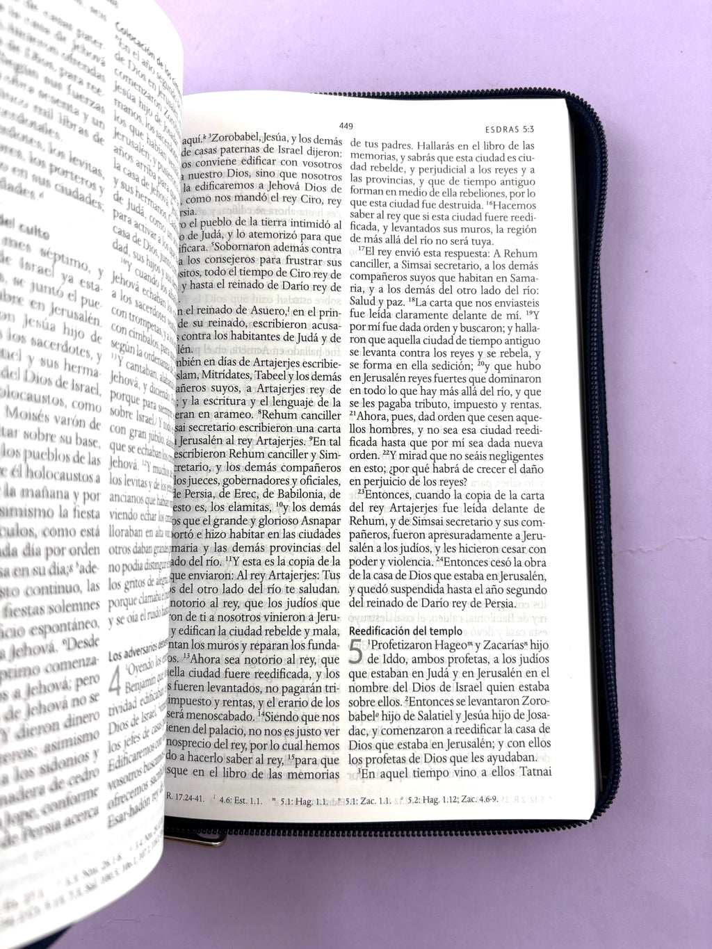 Biblia rvr 1960 letra grande estuche azul-vinotinto by Reina Valera 1960