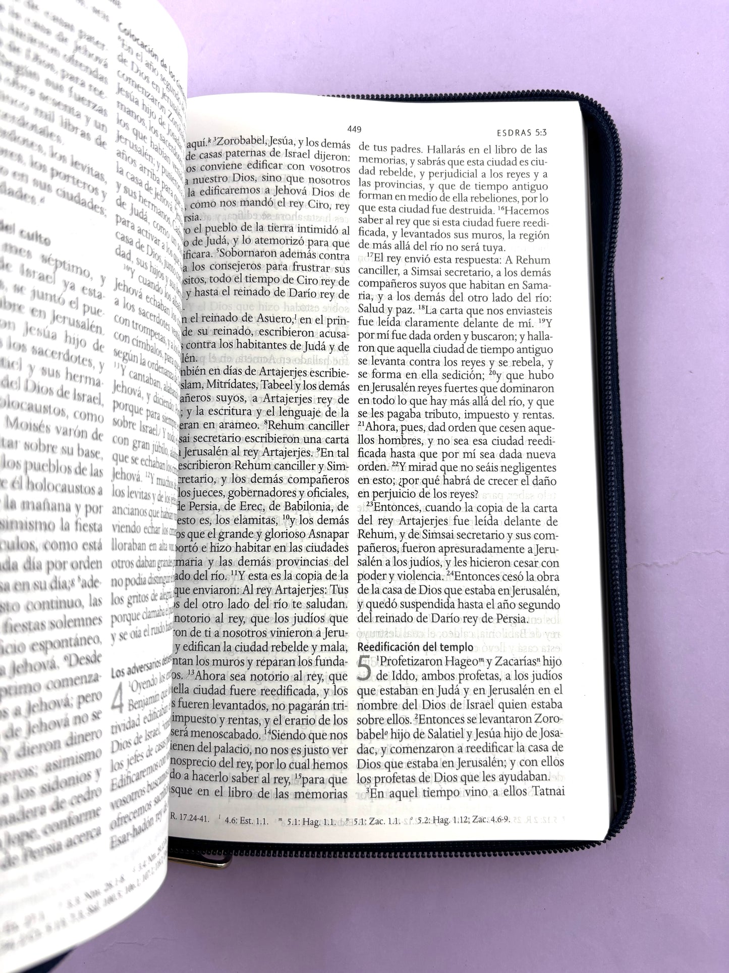 Biblia rvr 1960 letra grande estuche azul-vinotinto by Reina Valera 1960