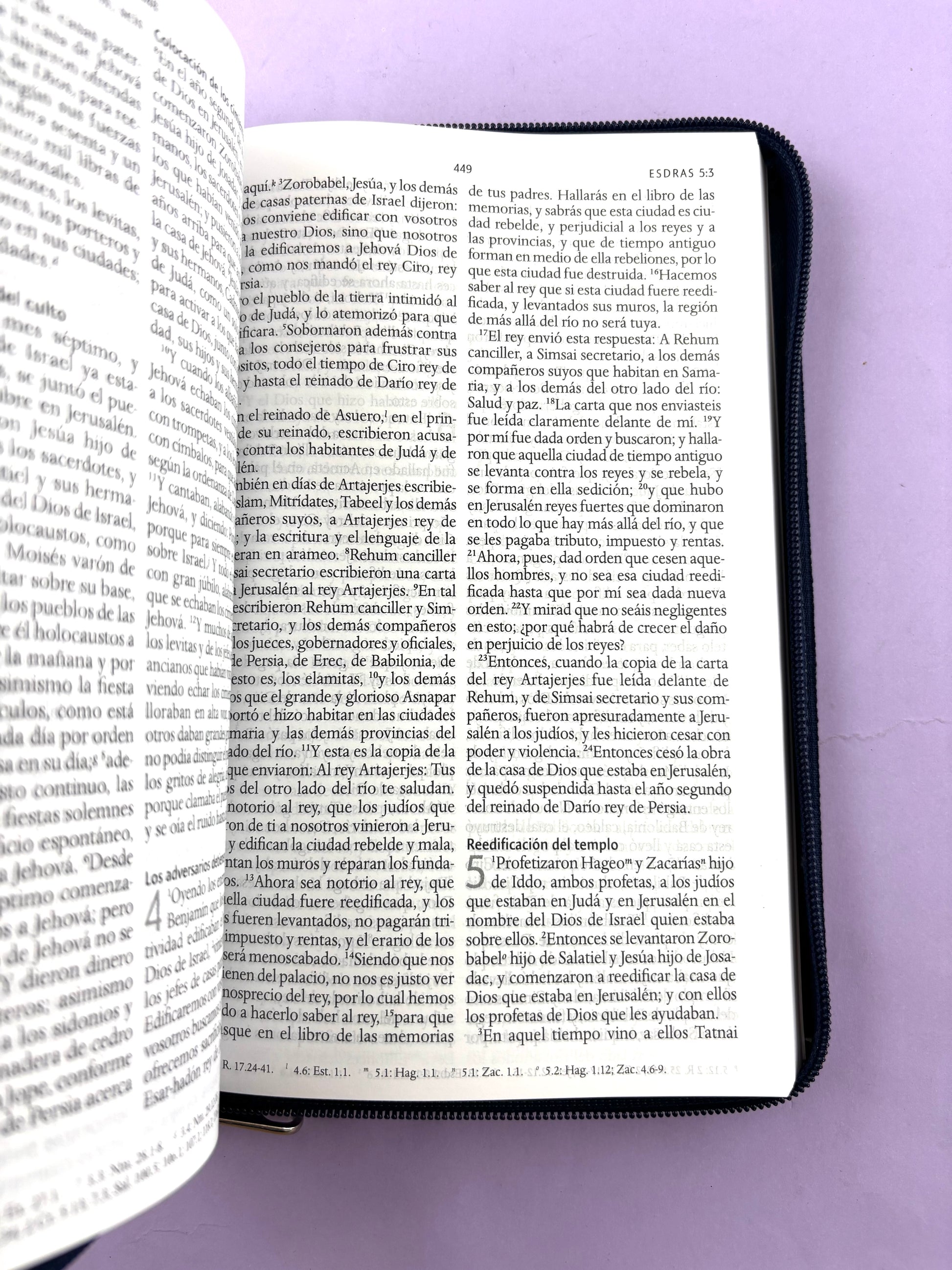 Biblia rvr 1960 letra grande estuche azul-vinotinto by Reina Valera 1960