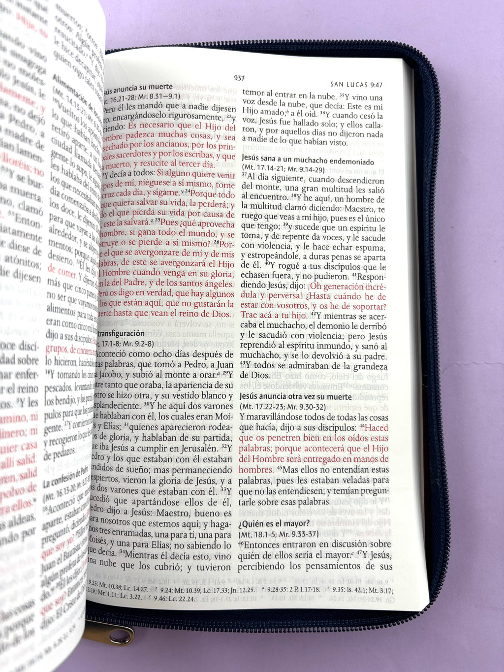Biblia rvr 1960 letra grande estuche azul-vinotinto by Reina Valera 1960