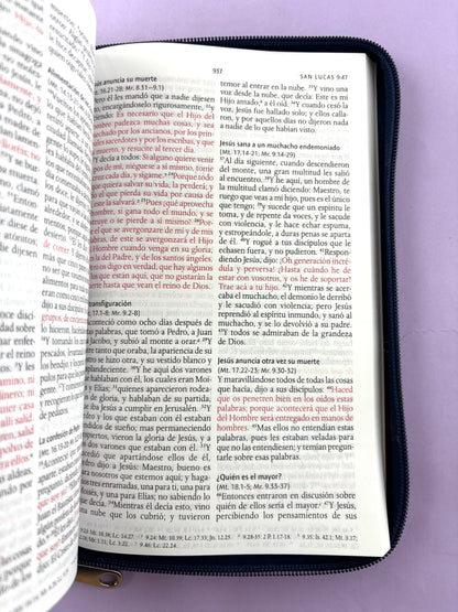 Biblia rvr 1960 letra grande estuche azul-vinotinto by Reina Valera 1960