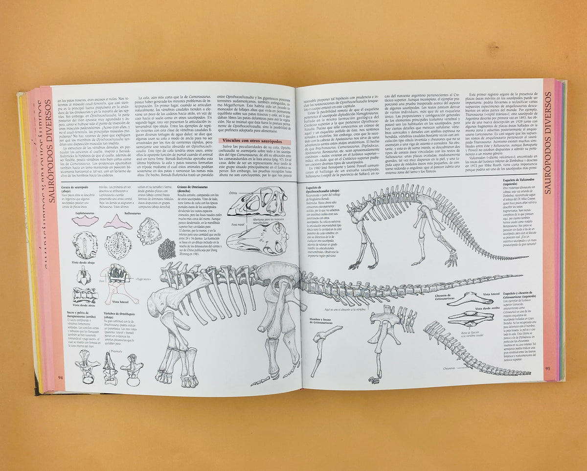 Atlas Ilustrado de los Dinosaurios by David Norman John Sibbick
